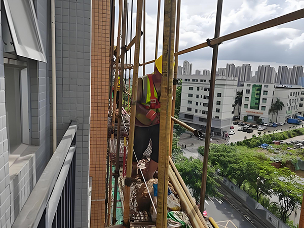 1730802156248882.jpg 9cc6f0b7-77e4-429c-946f-24715faac5cb.jpg