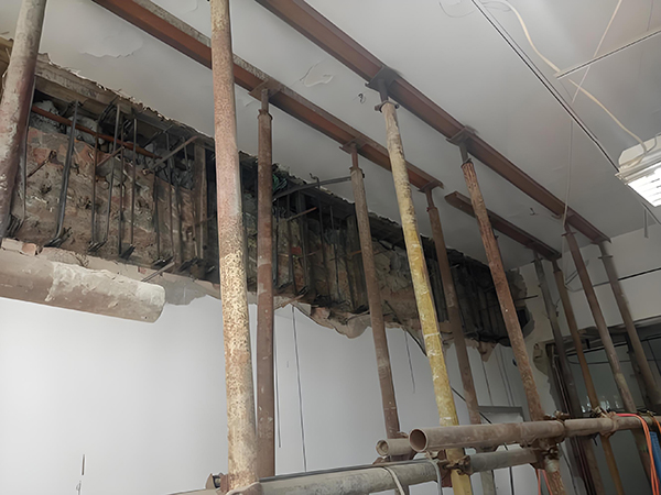 1730802168769946.jpg 7f9ed1f2-6902-4e47-97c7-e8d2b273af84.jpg